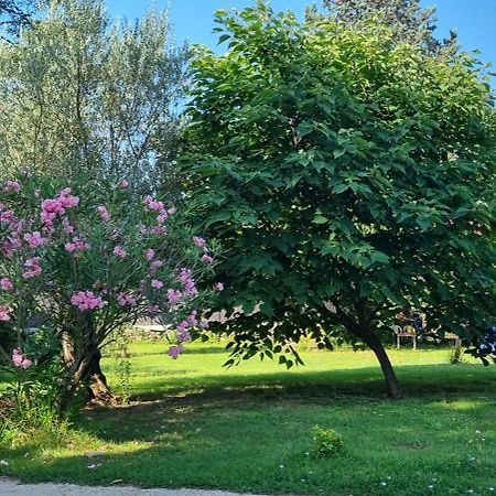 Chambre L'Orchidee 瓦隆蓬达克 外观 照片